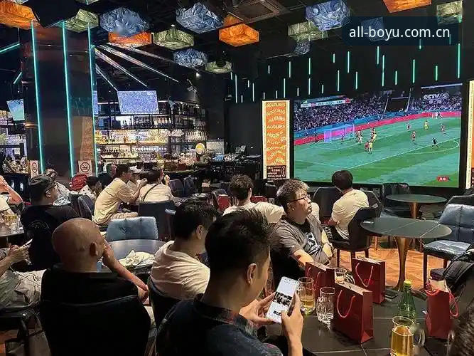 资深用户分享世界杯观赛签证困局下的实用应对经验